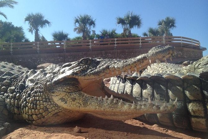 Crocoparc Agadir